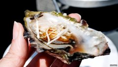 <b>沐鸣用户注册在“R月”吃牡蛎有4000年的历史</b>