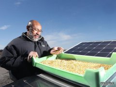 <strong>这种太阳能脱水器可以沐鸣登陆帮</strong>