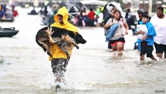 <b>沐鸣测速平台飓风过后，雨变得更大了</b>