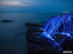 <b>沭鸣平台登陆研究发光生物如何改变医学</b>