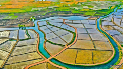 <b>沐鸣测速地址_祁连山下的水稻美景 千亩稻田似画卷</b>